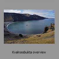 Kvalrossbukta overview